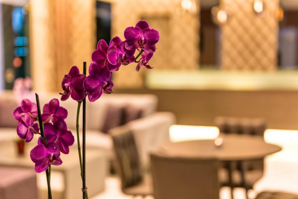 Ariadne Hotel 플라타네스 외부 사진